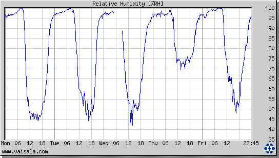 Relative Humidity