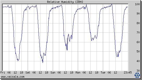 Relative Humidity