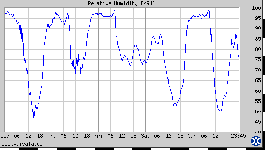 Relative Humidity