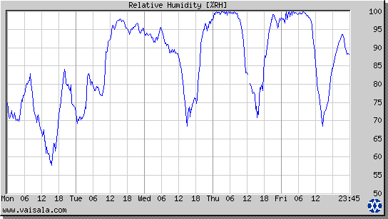 Relative Humidity