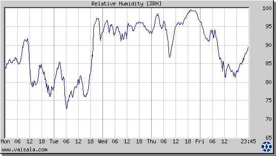 Relative Humidity