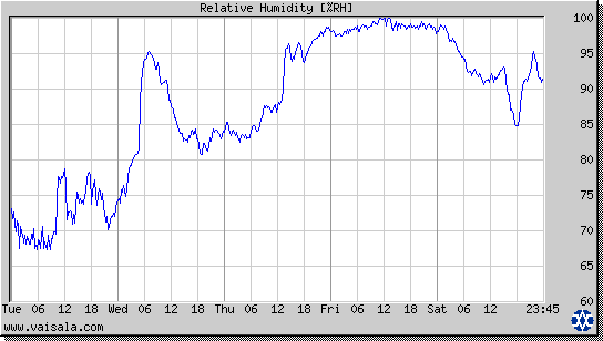 Relative Humidity