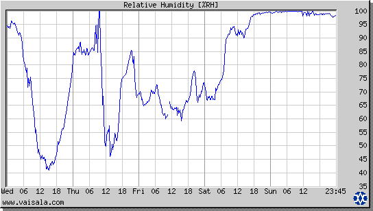 Relative Humidity