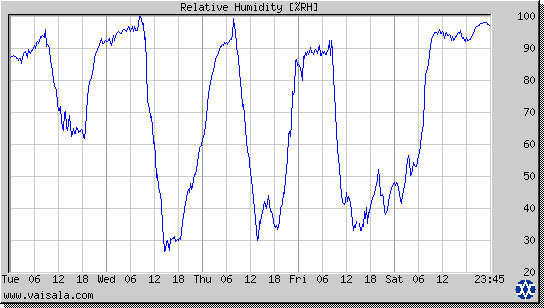 Relative Humidity