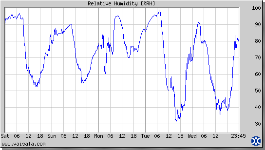 Relative Humidity