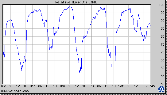 Relative Humidity