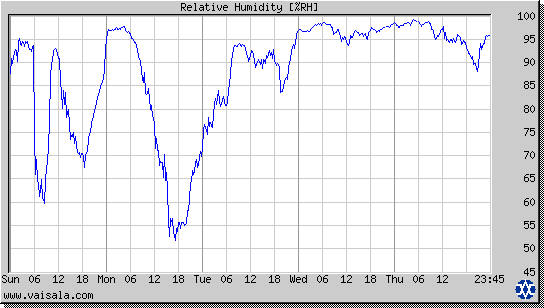 Relative Humidity