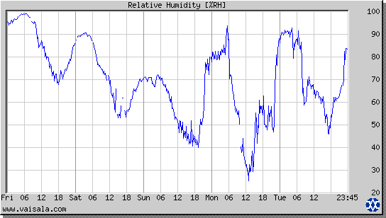 Relative Humidity