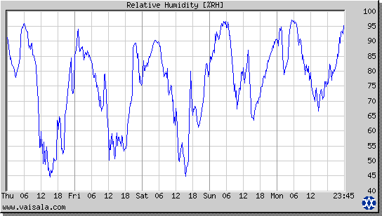 Relative Humidity