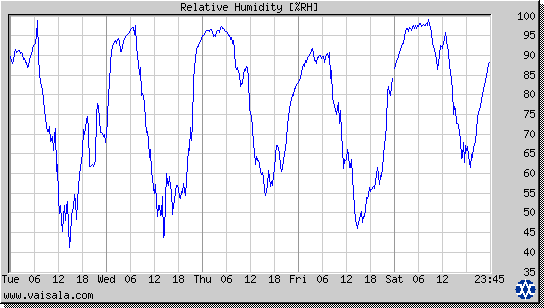 Relative Humidity