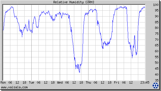 Relative Humidity