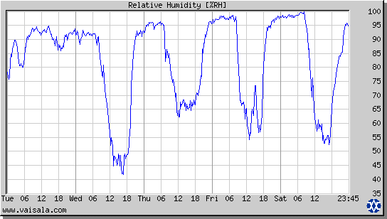 Relative Humidity