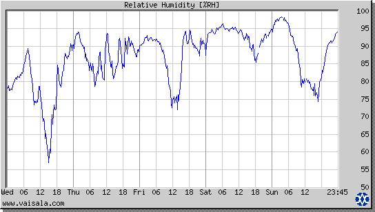 Relative Humidity