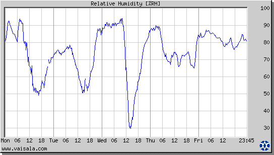 Relative Humidity