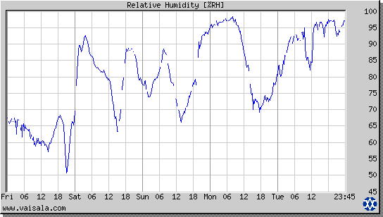 Relative Humidity