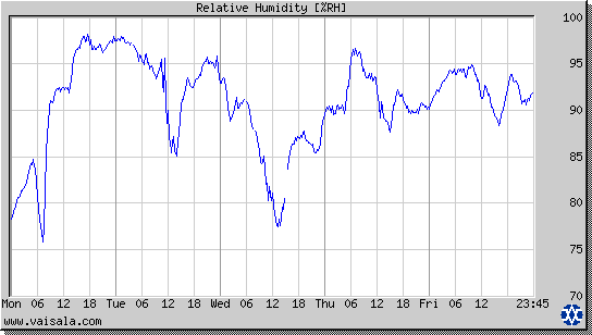 Relative Humidity