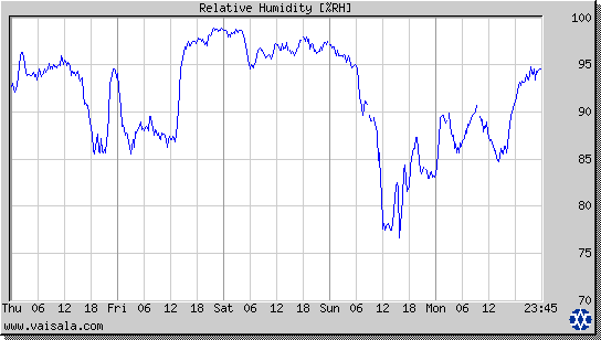 Relative Humidity