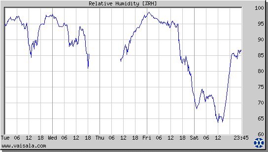 Relative Humidity