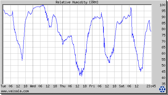 Relative Humidity