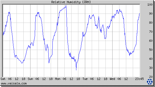 Relative Humidity