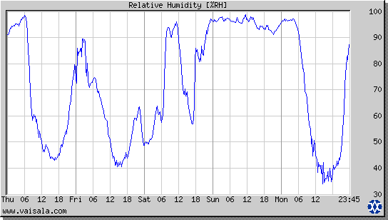 Relative Humidity