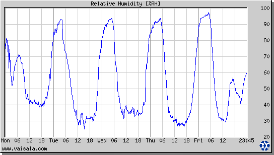 Relative Humidity