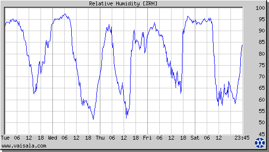 Relative Humidity