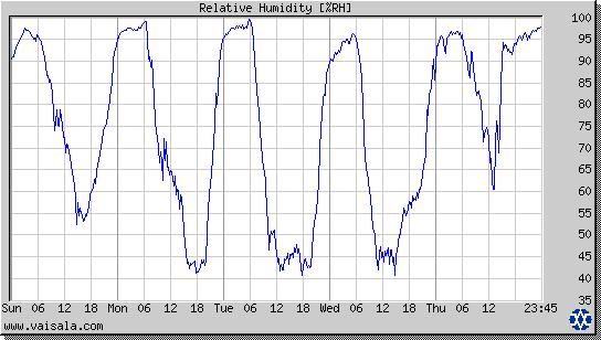 Relative Humidity