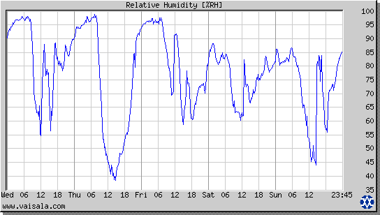 Relative Humidity