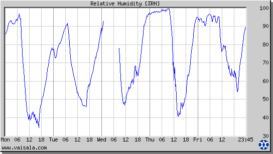 Relative Humidity