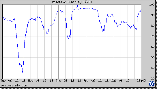 Relative Humidity