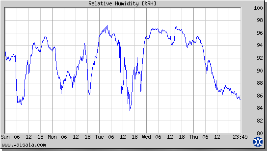 Relative Humidity