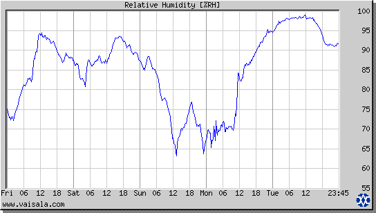 Relative Humidity