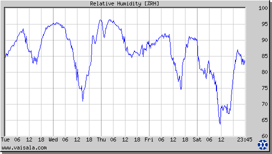 Relative Humidity