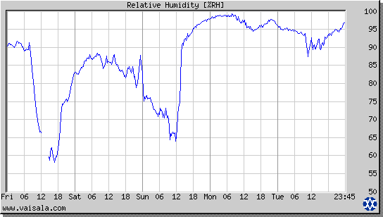 Relative Humidity