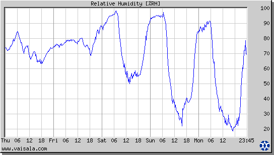 Relative Humidity