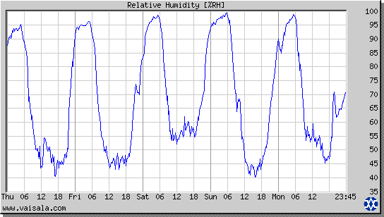 Relative Humidity