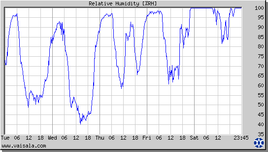 Relative Humidity