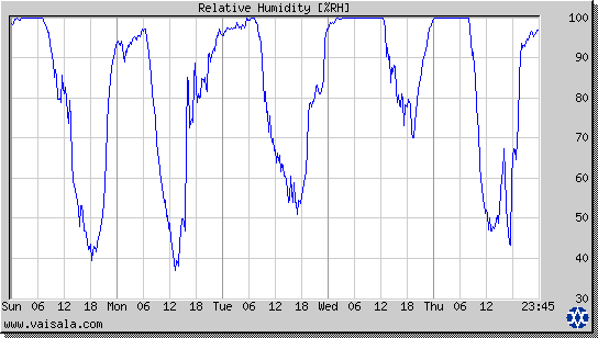 Relative Humidity