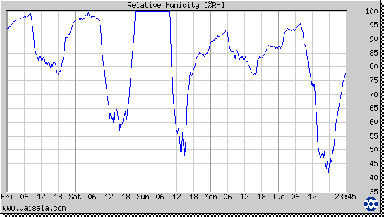 Relative Humidity