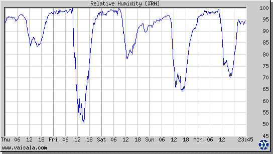 Relative Humidity