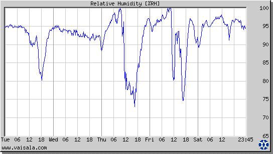 Relative Humidity