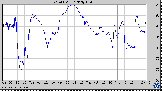 Relative Humidity