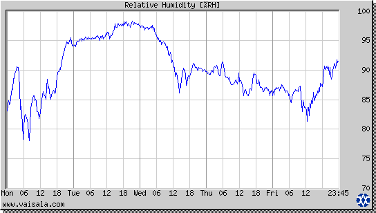 Relative Humidity