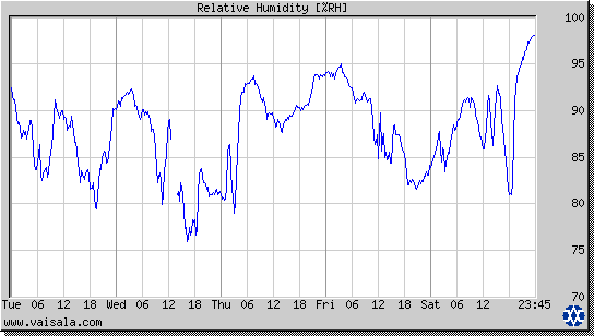 Relative Humidity