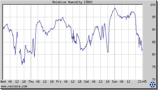 Relative Humidity