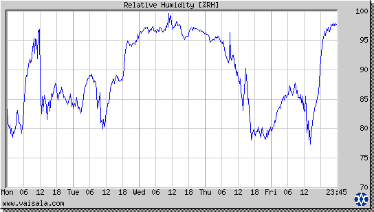 Relative Humidity