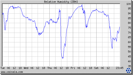 Relative Humidity