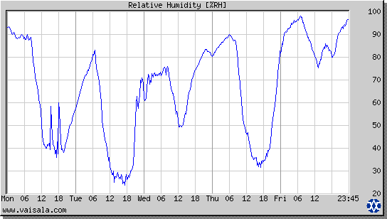 Relative Humidity