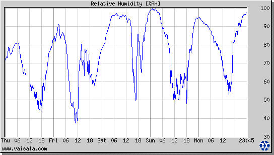 Relative Humidity